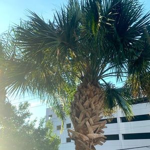 Meet your Posher, Tim